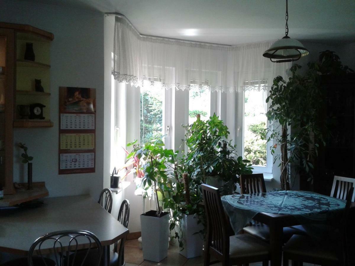 Vila Dom Na Skarpie Wierzbica  Exteriér fotografie